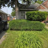 LawnStarter - Indianapolis Landscaping ico