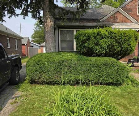 LawnStarter - Indianapolis Landscaping