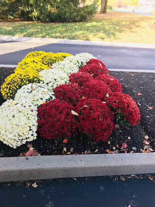 Midwest Landscape Industries, Inc. Picture 4