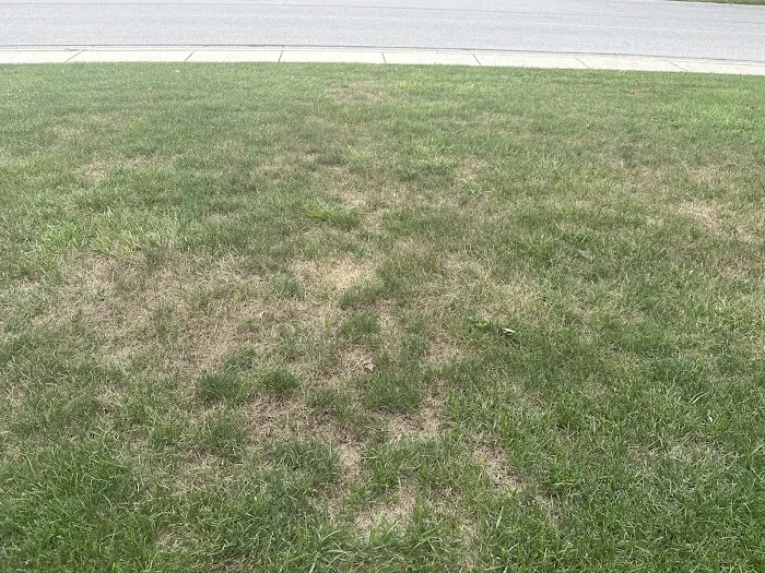 TruGreen Lawn Care Picture 2