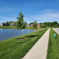 Seacat Landscaping Inc ico