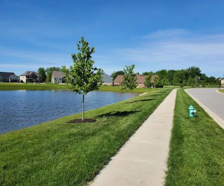 Seacat Landscaping Inc
