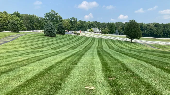 Galindos Landscaping LLC. Picture 2