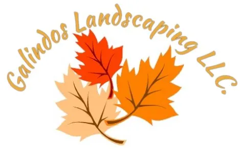 Galindos Landscaping LLC. Picture 4