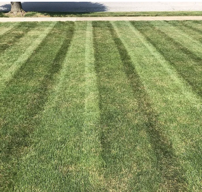 Jlg Lawn Care Services Picture 1