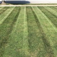 Jlg Lawn Care Services ico