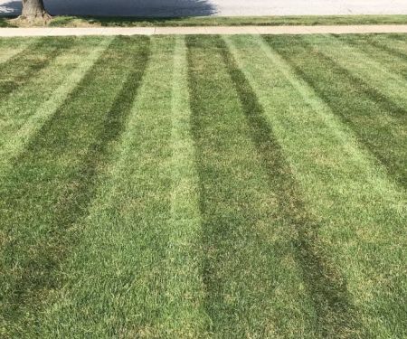 Jlg Lawn Care Services