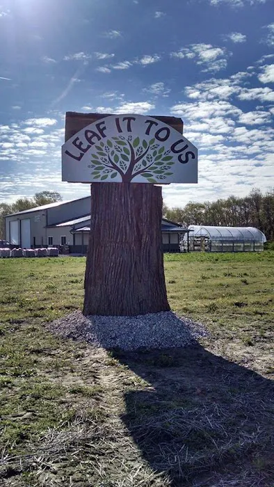 Leaf It To Us, Total Tree Care Plus LLC Picture 2