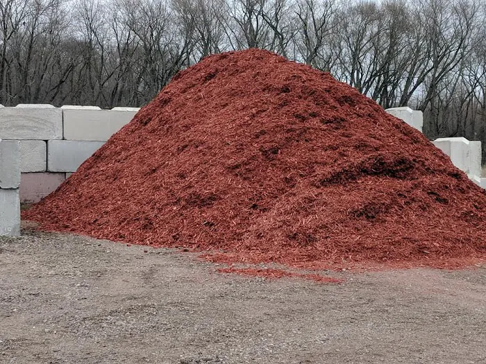 Leaf It To Us, Total Tree Care Plus LLC Picture 3