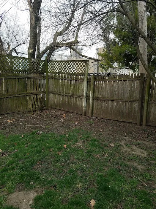 Clas-See Exteriors Picture 7
