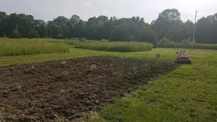 Bullard's Landscaping & Nursery in Flora Picture 6