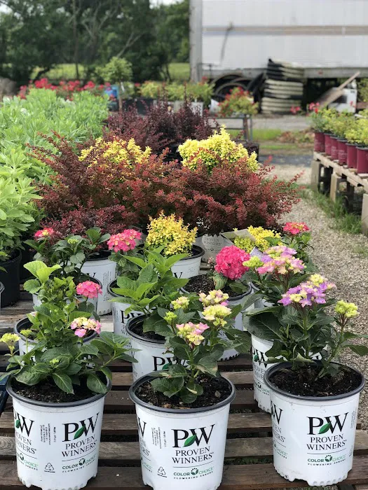 Bullard's Landscaping & Nursery in Flora Picture 4