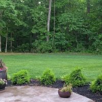 Bullard's Landscaping & Nursery in Flora ico