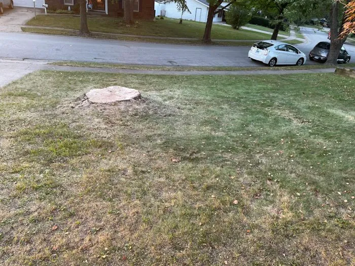 Mahnke Landscaping Picture 1