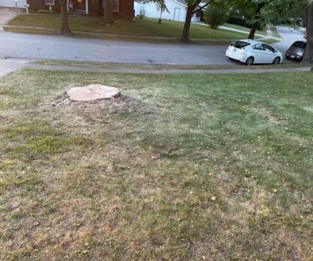 Mahnke Landscaping
