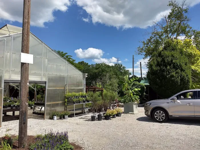 Spice Valley Landscape LLC Picture 5