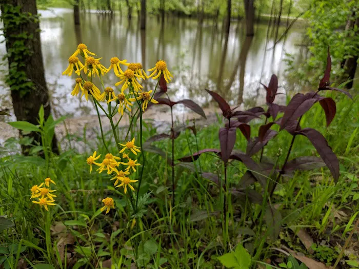Spice Valley Landscape LLC Picture 3