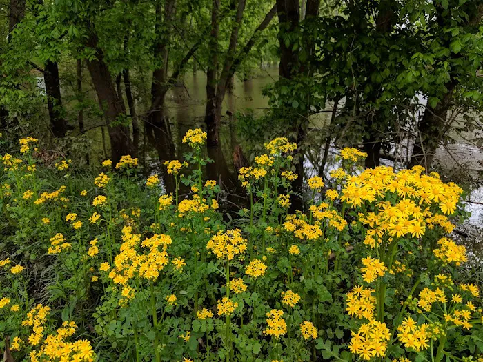Spice Valley Landscape LLC Picture 8