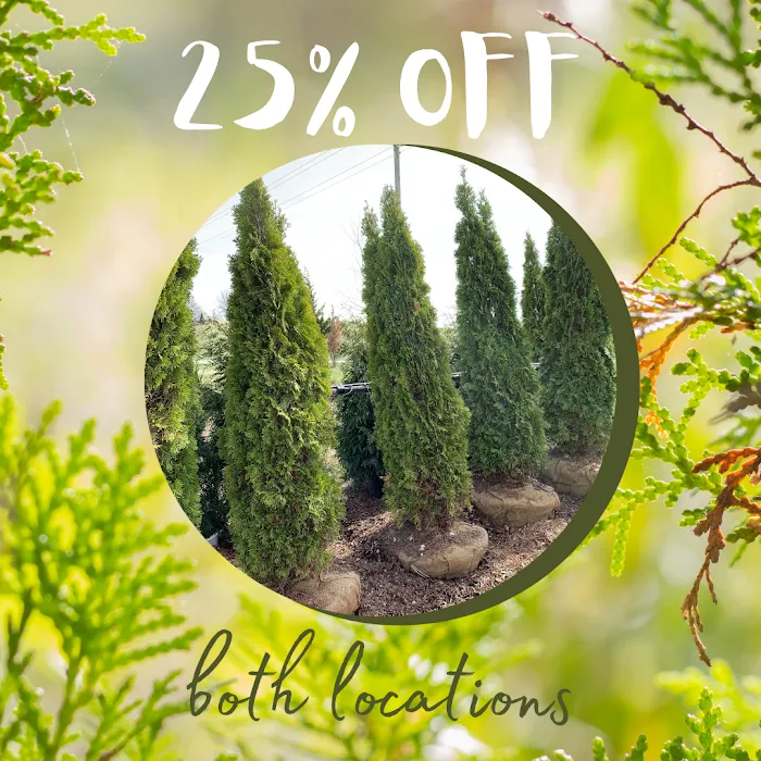 Green Thumb Landscaping, INC Picture 9