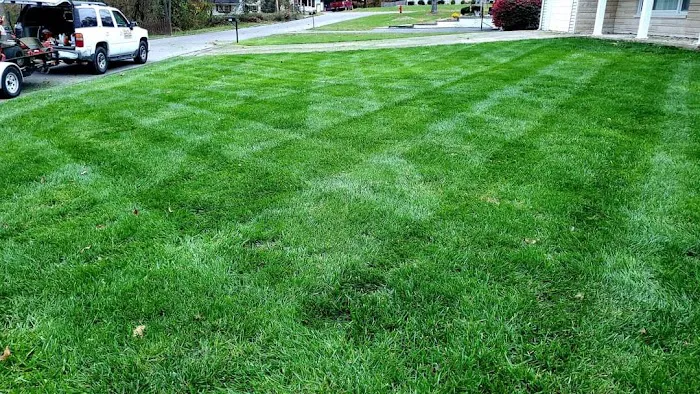 Sharp Blade Lawn Care and Landscaping Picture 3