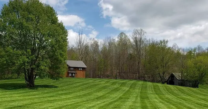 Sharp Blade Lawn Care and Landscaping Picture 4
