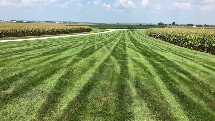 Holzmeyer Lawn & Landscape, LLC Picture 4