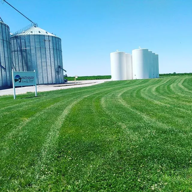 Bladerunners Mowing LLC Picture 6