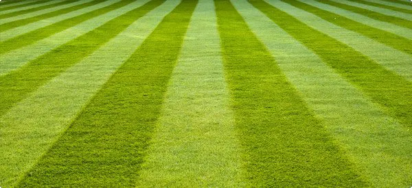 Bladerunners Mowing LLC Picture 8