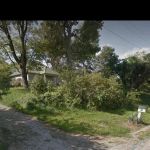 Schaefer Lawn Care & Landscaping