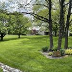 Matt's Turf and More