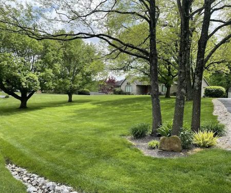Matt's Turf and More