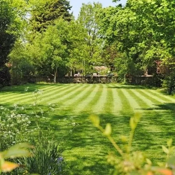Matt's Turf and More Picture 10