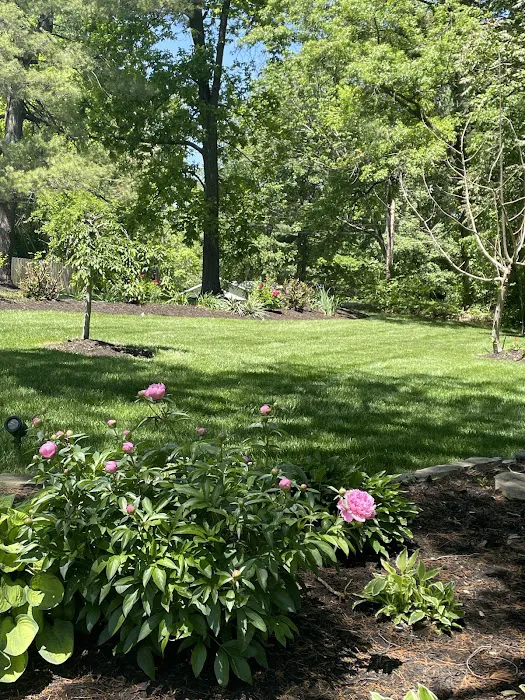 Matt's Turf and More Picture 2