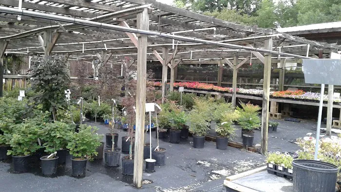 Commercial Landscaping Service Inc Picture 5