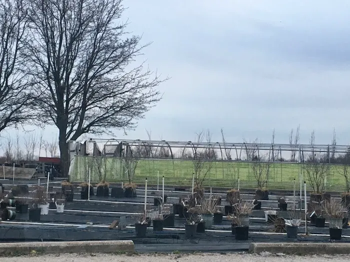 Commercial Landscaping Service Inc Picture 1