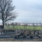 Commercial Landscaping Service Inc