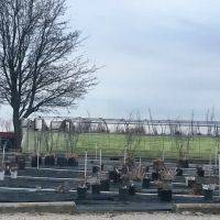 Commercial Landscaping Service Inc ico