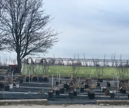 Commercial Landscaping Service Inc