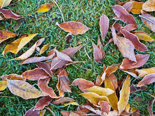 Vision Green Picture 7