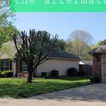 American Tree Experts & Landscaping