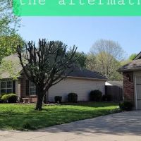 American Tree Experts & Landscaping ico