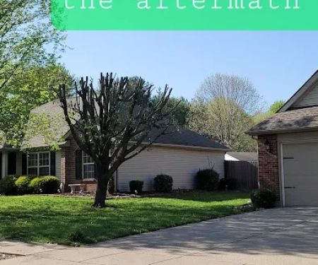 American Tree Experts & Landscaping