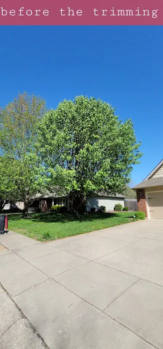 American Tree Experts & Landscaping Picture 3