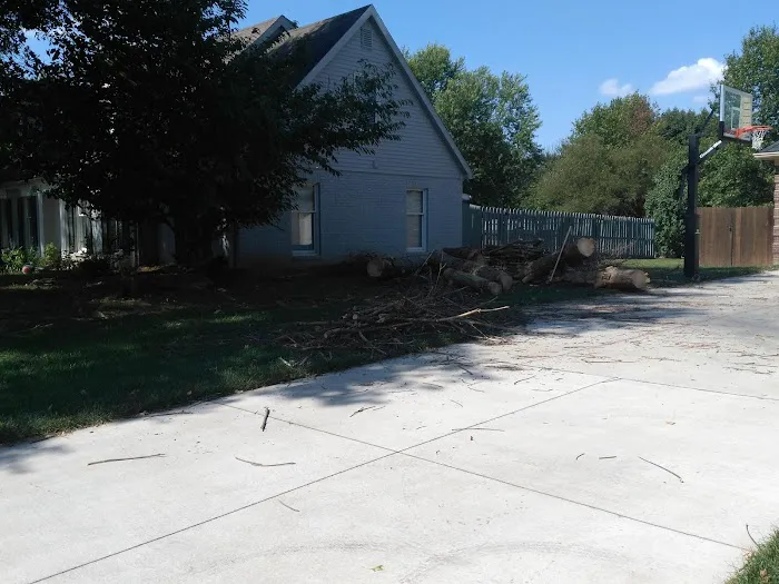 American Tree Experts & Landscaping Picture 10