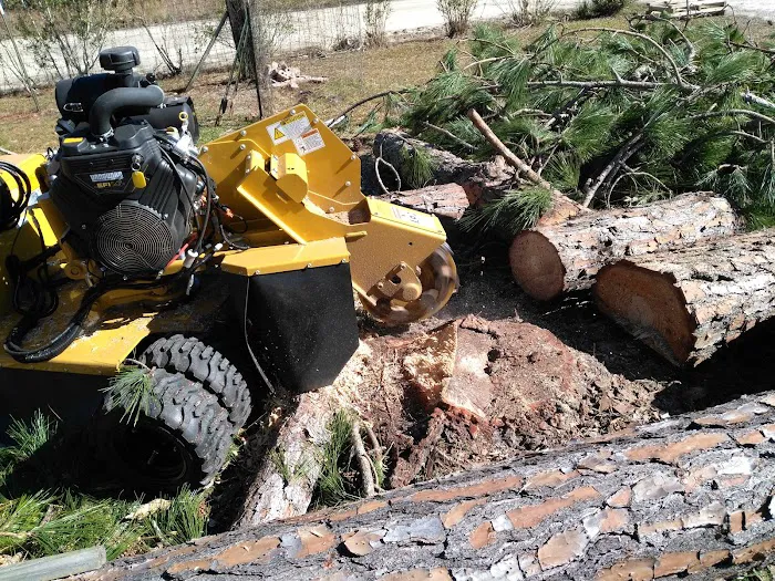 American Tree Experts & Landscaping Picture 9
