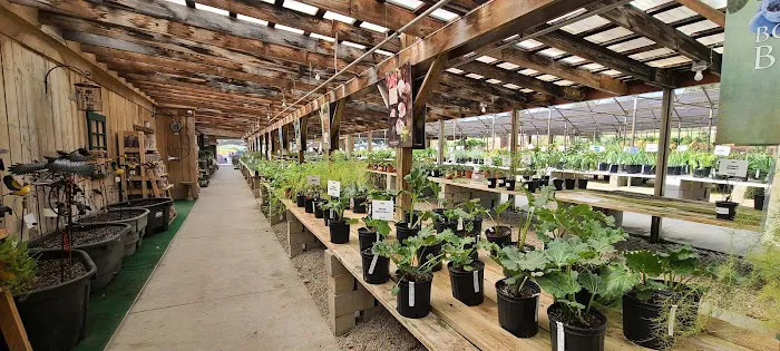 Buschkoetter's Nursery, Lawn and Garden Center, Inc. Picture 4