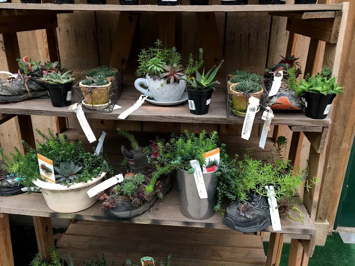 Buschkoetter's Nursery, Lawn and Garden Center, Inc. Picture 2