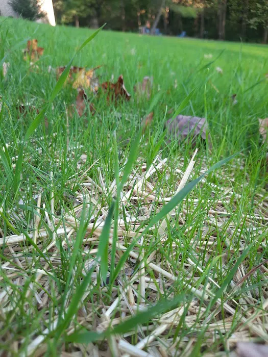 Patriot and Sons Lawn Care, Inc. Picture 4