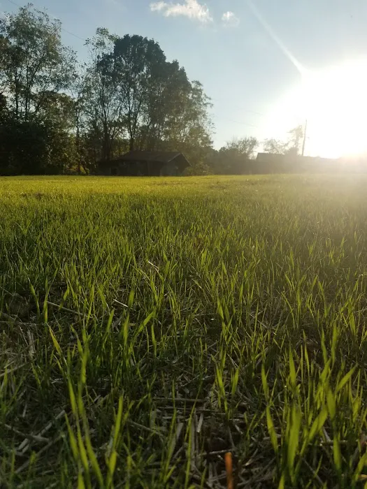 Patriot and Sons Lawn Care, Inc. Picture 1