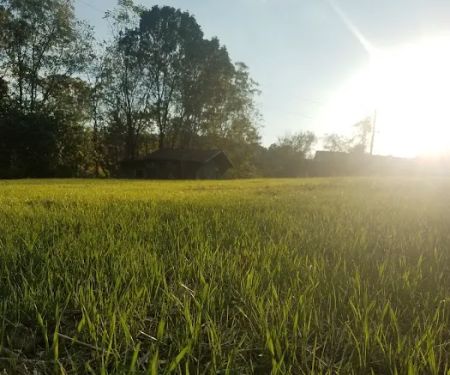 Patriot and Sons Lawn Care, Inc.